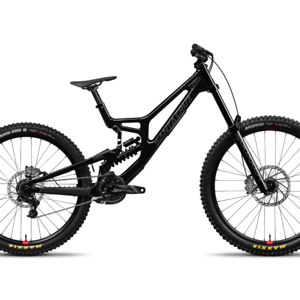 Santa Cruz V10 8 S 2024