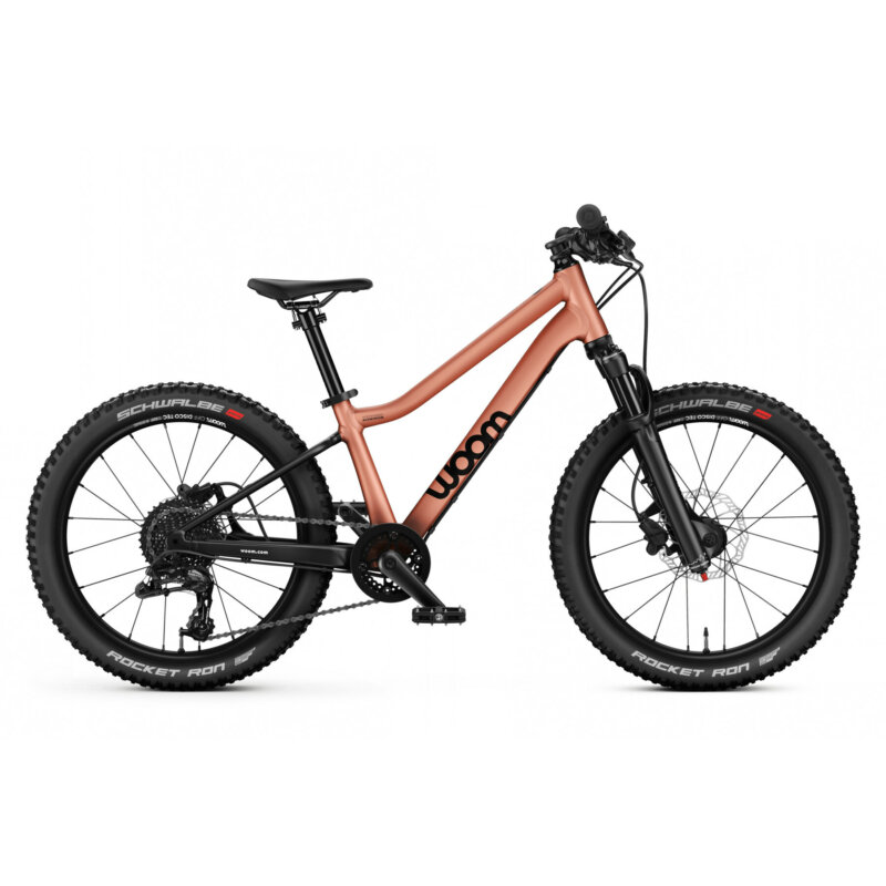 bike_image_1755162981