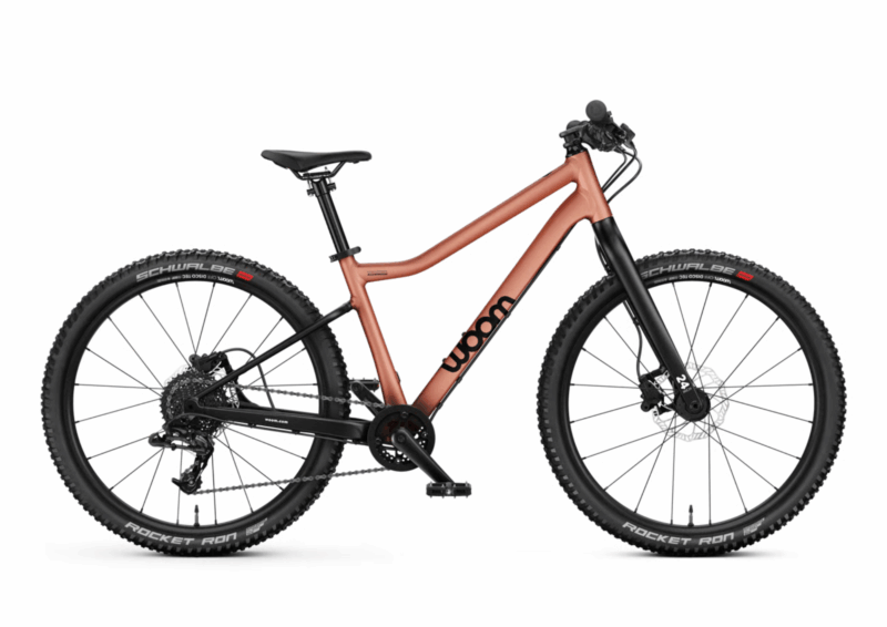 bike_image_1760220100
