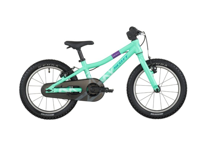 d5fea8cc5f586eb6e75a88e4e107cea8_large